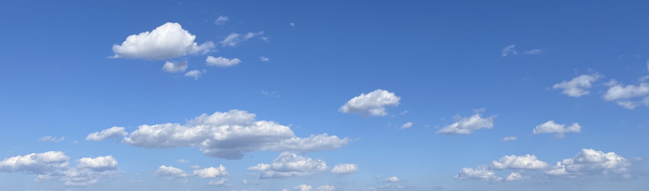 リビルド【シャワーヘッド】ナノバブルとマイクロバブルどっちがいいの？｜REbuild｜